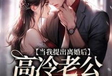 当我提出离婚后,高冷老公哭红了眼(詹挽月况承止)完结版免费阅读-看书城