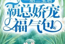 精彩章节阅读一胎三宝后,霸总娇宠福气包(陆北城江如意)免费小说在线看-看书城