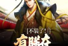 主人公是赢子婴的小说大秦:三岁圣孙,我教始皇打天下免费阅读-看书城