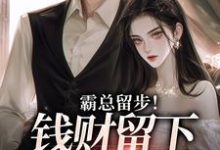霸总留步!钱财留下爱带走大结局,白挽盛云客小说无广告阅读-看书城
