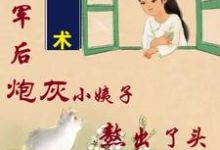 姐随军后,炮灰小姨子熬出了头(吴妮妮叶泽川)最新章节在线阅读-看书城