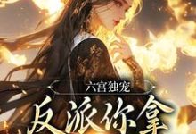 谢淑华小说免费阅读最新章节列表，六宫独宠，反派你拿什么和我斗小说在线看-看书城