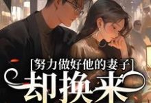 努力做好他的妻子,却换来不被尊重免费阅读(姜晚漓)小说免费读最新章节-看书城