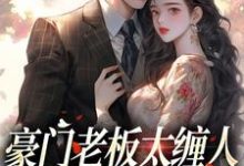 豪门老板太缠人，为她折腰为她疯（沈雾徐宴行）完结版免费阅读-看书城