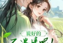 求助这本说好的不谈情呢！王爷请自制小说在哪里可以看完结版-看书城