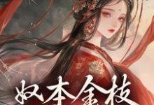 沈玉铮温云致小说免费阅读最新章节列表，奴本金枝，誓不为妾小说在线看-看书城