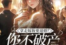 小说拿走嫁妆就退婚，你不破产谁破产？主角宋颜免费阅读-看书城