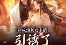 踹掉言情男主，勾搭男频帝王热门小说(沈毓灵权明赫)在线阅读无弹窗-看书城