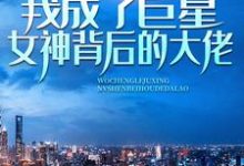 记忆苏醒,我成了巨星女神背后的大佬小说最新章节在哪里可以免费看-看书城