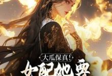 大瓜保真！女配她要改写书本剧情无弹窗叶灵薇最新章节列表-看书城