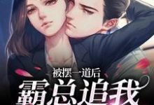 小说被摆一道后，霸总追我火葬场（池浅顾锦城）最新章节在哪看-看书城