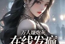 跪求主角是纪念陆京怀的小说书名叫什么-看书城