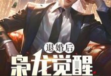 主人公是楚风甄姬的小说退婚后,枭龙觉醒,镇压当世免费阅读-看书城