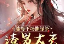 杜英箫牧尧在线阅读，婆母下场撕绿茶，渣男丈夫被赶出家小说完结版章节-看书城