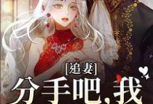 追妻:分手吧,我不哄你了无弹窗谈祈深颜缦最新章节列表-看书城