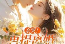主人公是苏暖霍云琛的小说亲哭！再提离婚，霍总彻底失控了免费阅读-看书城