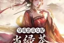 求助这本穿成恶毒女配,当绿茶这么有趣?小说在哪里可以看完结版-看书城