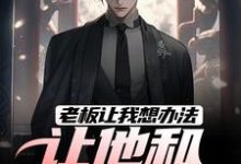 老板让我想办法,让他和老婆离婚(主角秦羽)完结版免费阅读-看书城