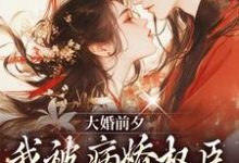 小说大婚前夕,我被病娇权臣强取豪夺了主角裴砚忱姜映晚免费阅读-看书城