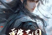 重生三国,开局黄巾起义(张新)完结版免费阅读-看书城