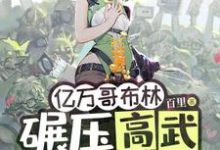 苏命小说的结局在哪可以看,亿万哥布林,碾压高武很合理吧?免费阅读完结版-看书城