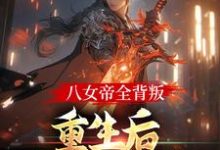 八女帝全背叛,重生后哭着求复合无弹窗陈昊灵最新章节列表-看书城