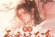 快穿:恋爱脑反派不接受BE剧本精彩章节在线免费阅读(戴柯墨枭)-看书城
