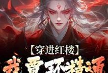 穿进红楼，我贾环精通朝堂争斗完结版贾环免费阅读大结局-看书城