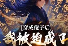 求助这本穿成傻子后，我被迫成了极品权臣小说在哪里可以看完结版-看书城