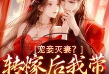 魏芷殊小说的结局在哪可以看,宠妾灭妻?转嫁后我带皇子夺王位免费阅读完结版-看书城