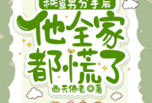 和渣男分手后，他全家都慌了完结版秦昭温书齐免费阅读大结局-看书城