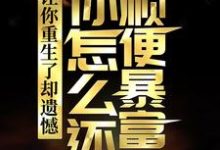 主角是李毅唐雪的小说让你重生了却遗憾,你怎么还顺便暴富了?在哪免费看-看书城