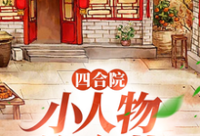 四合院：小人物许大茂（许大茂娄晓娥）最新章节在线阅读-看书城