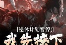求助这本退休计划暂停,我先撩下这女总小说在哪里可以看完结版-看书城