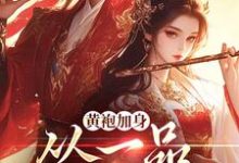 黄袍加身，从一品侯爵开始（主角卫小宝）完结版免费阅读-看书城