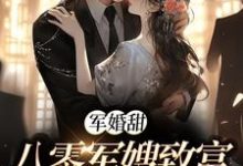 军婚甜:八零军嫂致富撩夫两不误免费阅读,陆宴寻姜枣大结局无弹窗-看书城