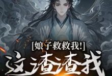 娘子救救我！这渣渣我虐不完热门小说(司寻)在线阅读无弹窗-看书城
