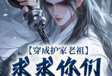 秦禾柳青元在线阅读,穿成护家老祖,求求你们积点德吧小说完结版章节-看书城