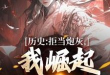 小说历史:拒当炮灰,我崛起收复河山主角王克张煌言免费阅读-看书城