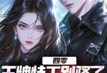 四零:王牌特工别骚了,敌军都怕了精彩章节在线免费阅读(柳龙)-看书城