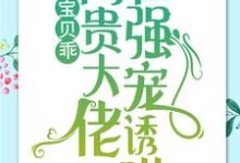 宝贝乖:高贵大佬在强宠诱哄最新章节宝贝乖:高贵大佬在强宠诱哄在线阅读-看书城