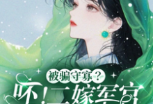 孟泠音顾时谦在线阅读,被骗守寡?呸!二嫁军官生多胎小说完结版章节-看书城
