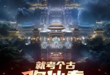 嬴政在线阅读,就考个古,你仙秦举国飞升?小说完结版章节-看书城
