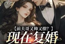 前夫哥又帅又撩?现在复婚来得及吗(安婳肖政)最新章节在线阅读-看书城