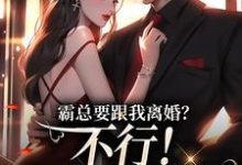 霸总要跟我离婚?不行!我身无分文小说资源求分享,霸总要跟我离婚?不行!我身无分文覃笙在线阅读-看书城