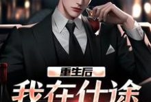 重生后,我在仕途一路狂飙完结版秦正免费阅读大结局-看书城
