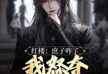 红楼:庶子咋了,我怒夺贾宝玉风头热门小说(贾玓)在线阅读无弹窗-看书城