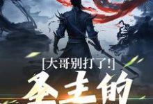 求助这本大哥别打了!圣主的心都碎了小说在哪里可以看完结版-看书城