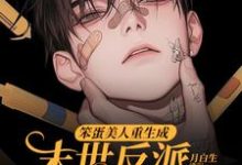 笨蛋美人重生成末世反派的男友后(沈绵叶瑾修)最新章节免费在线阅读-看书城