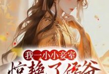 我一小小妾室,惊艳了侯爷很合理吧精彩章节阅读(叶青芷谢晋)免费阅读大结局-看书城